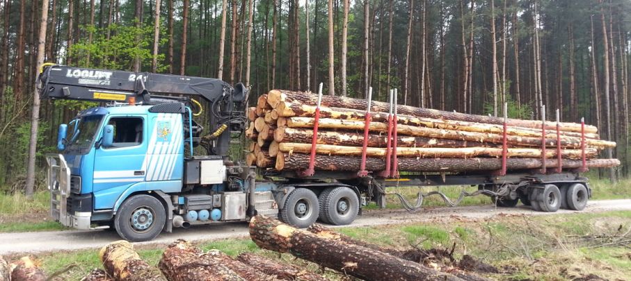 Transport drewna do tartaku na Rawce